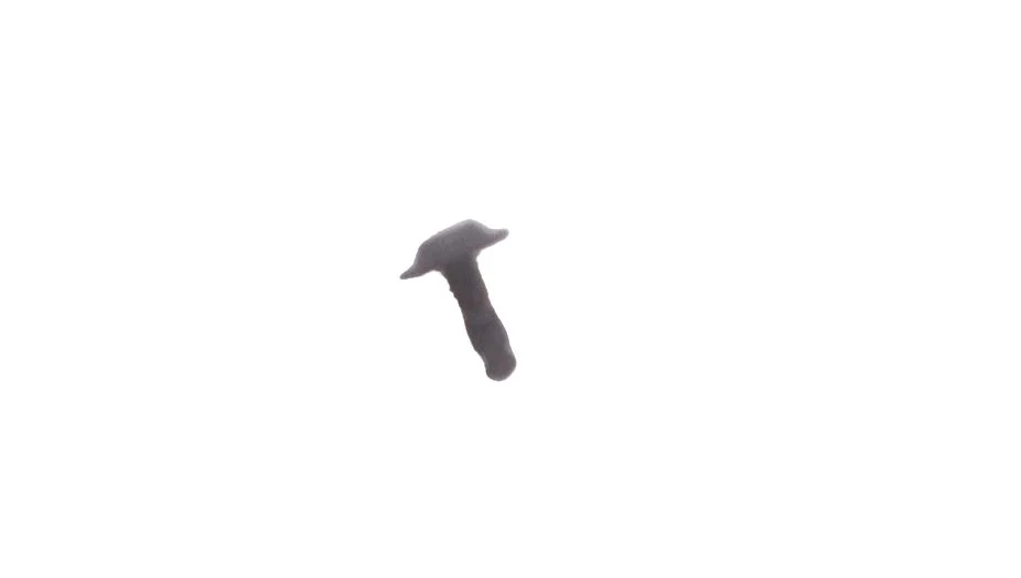 Imagen del producto 11